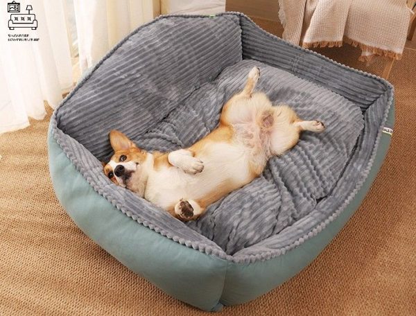 Ciney Dog Bed Singapore Pet Bed Singapore SingaporeHomeFurniture