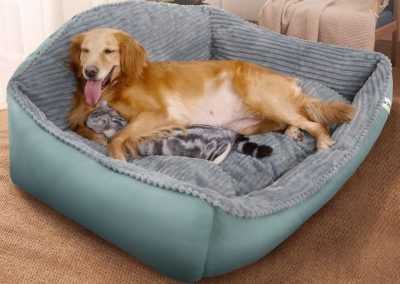 Ciney Dog Bed Singapore Pet Bed Singapore SingaporeHomeFurniture