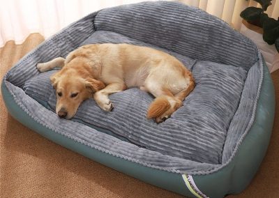 Ciney Dog Bed Singapore Pet Bed Singapore SingaporeHomeFurniture