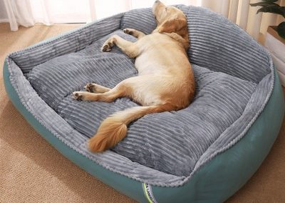 Ciney Dog Bed Singapore Pet Bed Singapore SingaporeHomeFurniture