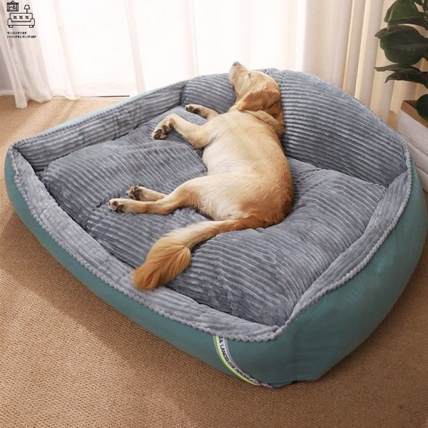 Ciney Dog Bed Singapore Pet Bed Singapore SingaporeHomeFurniture