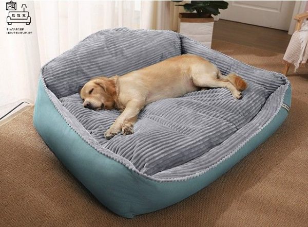 Ciney Dog Bed Singapore Pet Bed Singapore SingaporeHomeFurniture
