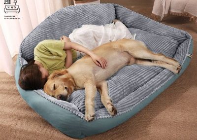 Ciney Dog Bed Singapore Pet Bed Singapore SingaporeHomeFurniture