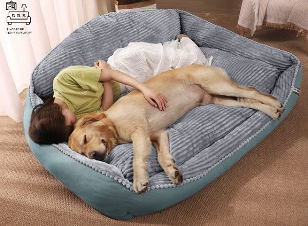 Ciney Dog Bed Singapore Pet Bed Singapore SingaporeHomeFurniture