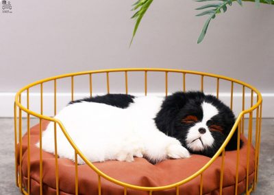 Edingen Dog Bed Singapore Pet Bed Singapore SingaporeHomeFurniture