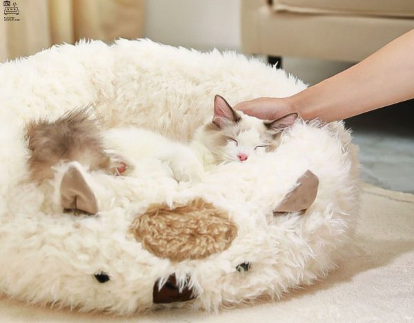MORTSEL® Pet Bed | Plushy and Comfortable | For Cats and Dogs | $ - Image 9