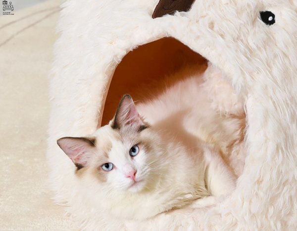 MORTSEL® Pet Bed | Plushy and Comfortable | For Cats and Dogs | $ - Image 7