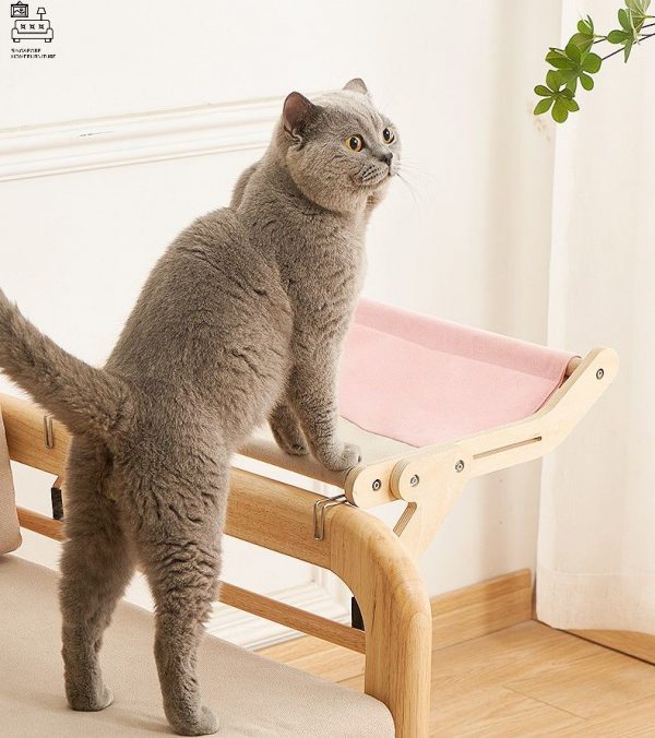 PERUWELZ® Pet Bed | Plushy and Comfortable | For Cats and Dogs | $ - Image 4