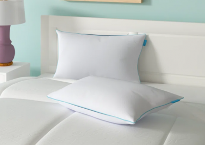 Wayfair Pillow