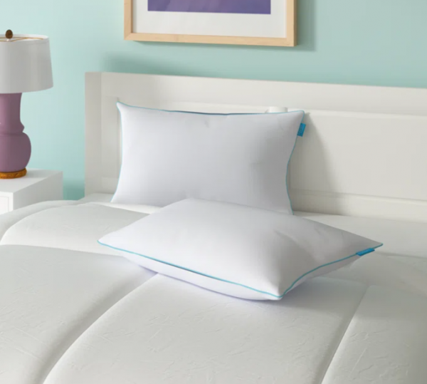 Wayfair Pillow
