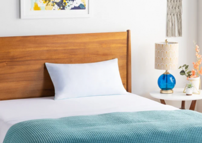 Wayfair Pillow