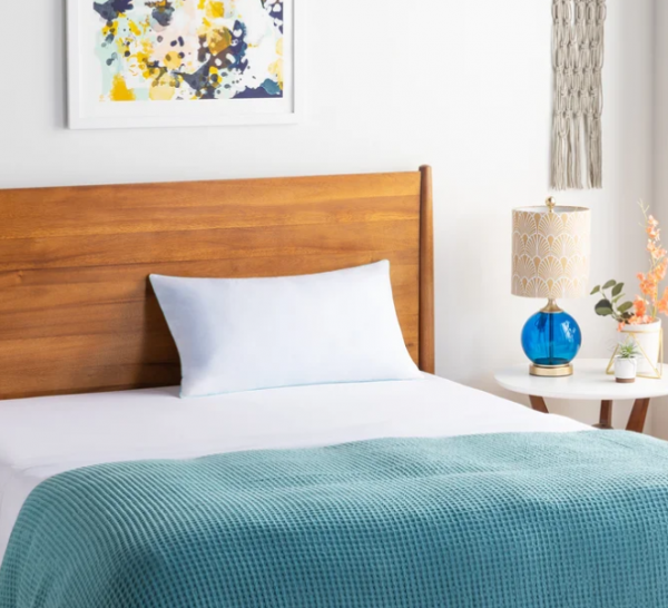 Wayfair Pillow