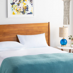 Wayfair Pillow