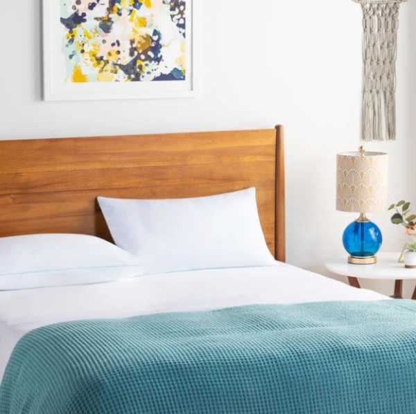 Wayfair Pillow