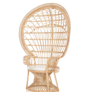 Bay Isle HomeAdamine® Upholstered Accent Chair