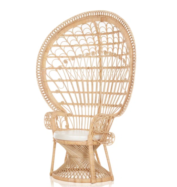 Bay Isle HomeAdamine® Upholstered Accent Chair
